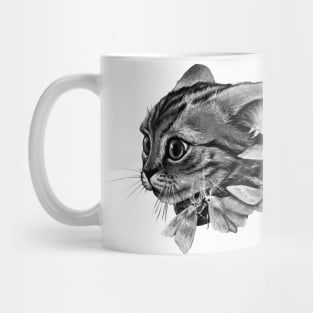 Surprised funny cat and moths Mug